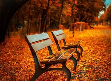 bench-560435_640.jpg